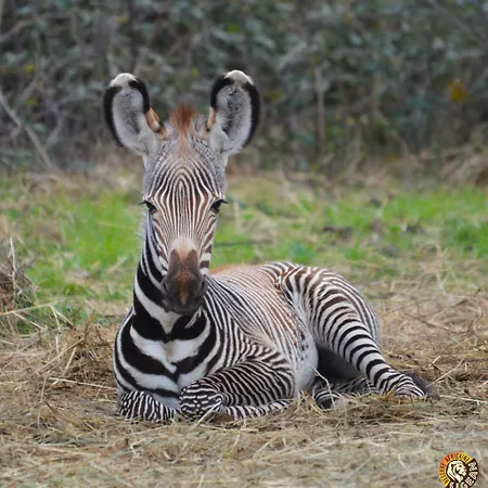 Сasa de vacaciones La Galinette Family Loft Sigean